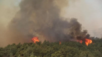 Hatay'daki orman yangını kontrol altına alındı