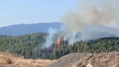 Denizli’de orman yangını! Müdahale sürüyor