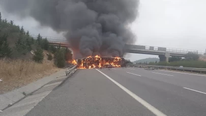 Tarsus'ta kaza yapan elyaf yüklü tır alev alev yandı