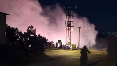 Zeytinlik alanda çıkan yangın büyümeden kontrol altına alındı