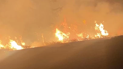 Seyir halindeki traktör römorkunda yangın çıktı!