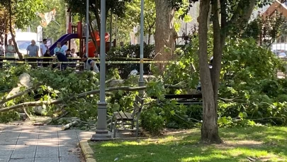 Çınar ağacından kopan dal, 1 kişinin hayatına mal oldu!