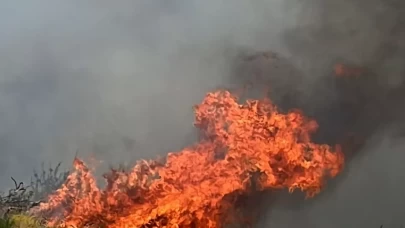 Denizli'de anız yangını ormana sıçradı