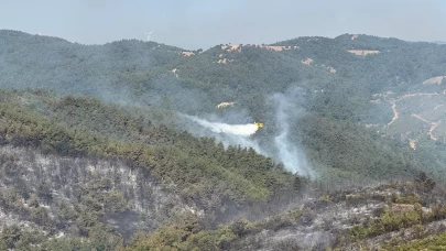 Balıkesir'deki orman yangınına müdahale sürüyor