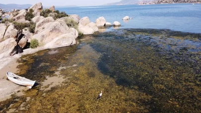 Suları çekilmeye başlayan Bafa Gölü'nde kirlilik yaşanıyor
