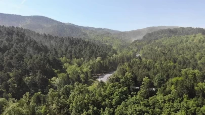 Bursa'da, ormanlık alanlara 2,5 ay boyunca giriş yasaklandı