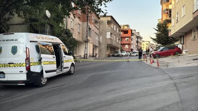 Maltepe'de kamyonetin çarptığı kadın öldü