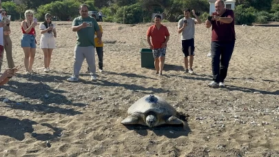 Uydu cihazı takılan kaplumbağa denizle buluşturuldu