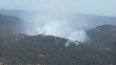 Balıkesir'in üç ilçesinde çıkan yangınlara havadan müdahale sürüyor
