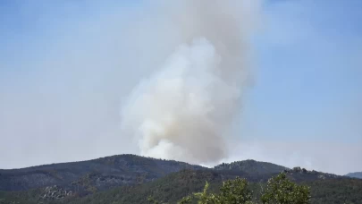 Eskişehir'de ormanlık alanda çıkan yangına müdahale ediliyor