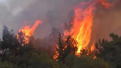 İstanbul Valiliği'nden yangınlarla ilgili yeni önlem