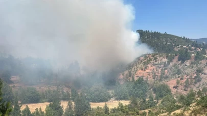 Denizli'deki orman yangını kısmen kontrol altına alındı