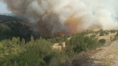 Bursa-Balıkesir sınırında çıkan orman yangınına müdahale ediliyor