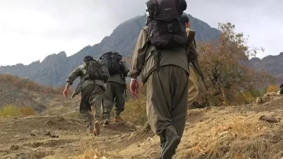 DEM Parti'den açıklama geldi!