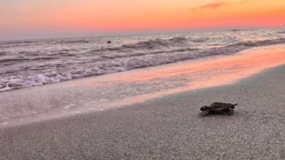 Patara’da sürdürülebilirlik atağı!