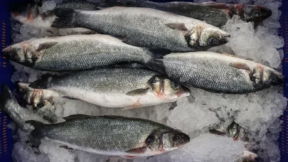 Türk su ürünleri sektörü ihracatta rekor kırdı: 973 milyon dolarlık gelir!