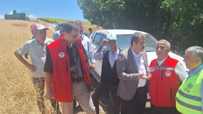 ‘Baharın İlk Arı Çiçekleri’ tarlada altına dönüştü