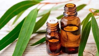 İbrahim Saraçoğlu’ndan en iyi doğal sinek kovucu!