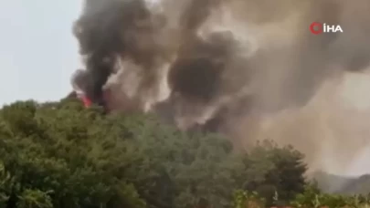 Bilecik'te orman yangını sonrası Borcak Köyünü alevler sararken, köylüler tanker, traktör ve su yardımı istedi