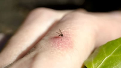 Evde doğa sinek spreyi!