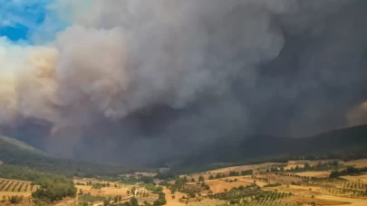 Sakarya'daki orman yangını Bilecik tarafına sıçradı: Havadan ve karadan müdahale sürüyor