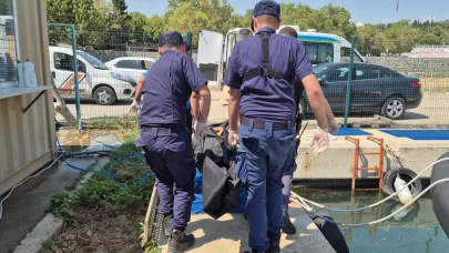 Denizde bir kişi ölü bulundu