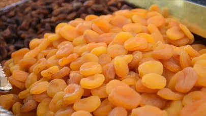 Kuru kayısıda ihracat rekoru