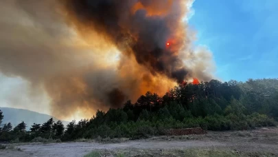 Balıkesir'de orman yangını