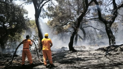 Antalya'nın Muratpaşa ilçesinde orman yangını