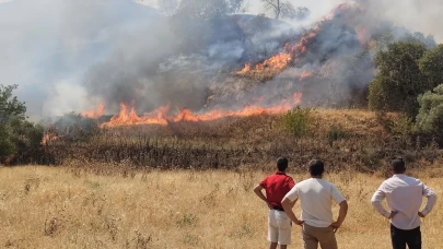 Nazilli'de zirai alanda çıkan yangın kontrol altına alındı