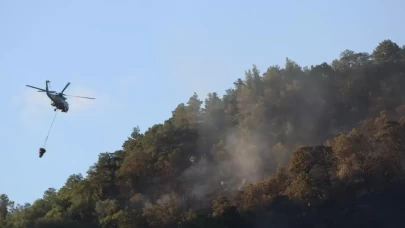 Fethiye'de orman yangınI