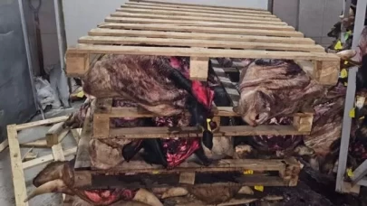 Boş tamirhanede çürümüş hayvan kafaları ortaya çıktı