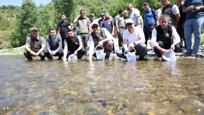 Düzce’de 20 bin benekli alabalık salındı