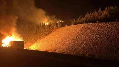 Devrilen kamyon yangın çıkardı!
