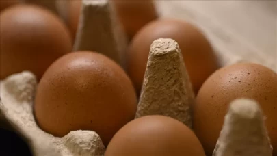 Sofralık yumurta ihracatında yeni dönem!