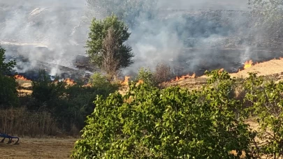 Tekirdağ'da anız yangını ormanlık alana sıçradı