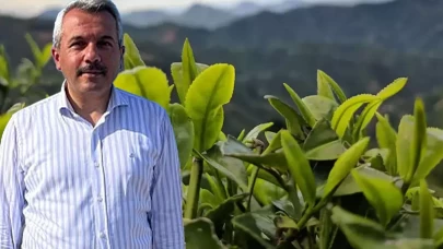 Rize Valisi'nden çay üreticilerine çağrı: 'Ucuza satmayın!'