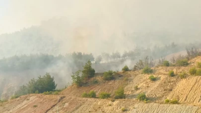 Tarihi İpek Yolu yanıyor!