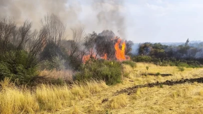 Diyarbakır’da ormanlık alana sıçrayan örtü yangını söndürüldü