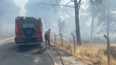 Anız yangını ormana sıçradı: 16 hektar kül oldu