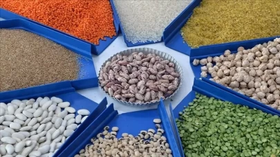 Güneydoğu'nun Afrika ülkelerine hububat ihracatı yüzde 32,9 arttı