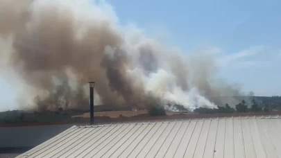 Bursa’da orman yangını: Tarlada başladı ormanlık alana sıçradı