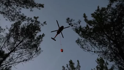 Çanakkale'de tarım alanında çıkan yangına müdahale ediliyor