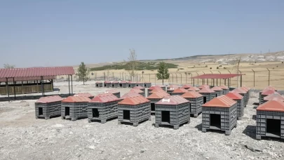 Kütahya’da sahipsiz hayvanlar için doğal yaşam alanı tamamlandı