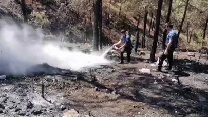 Geyve'de 5 gün sonra aynı nokta yeniden alevlendi: Yangına ilk müdahaleyi polisler yaptı