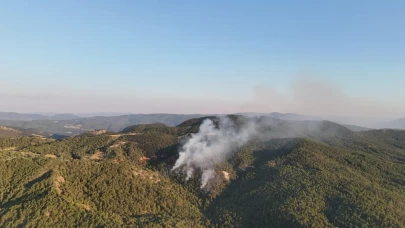 Bolu'daki orman yangını havadan görüntülendi