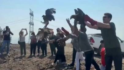 Tedavileri tamamlanan 11 yabani kuş doğaya salındı