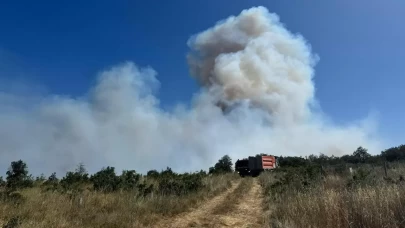 Silivri'de ormanlık alanda yangın çıktı