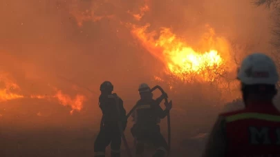 Orman işçileri alevlere karşı kahramanca mücadele veriyor