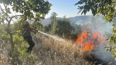Gabar Dağı'ndaki orman yangını kontrol altına alındı